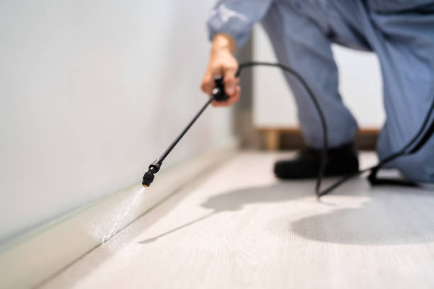 Professional exterminator conducting IPM assessment in McCaysville