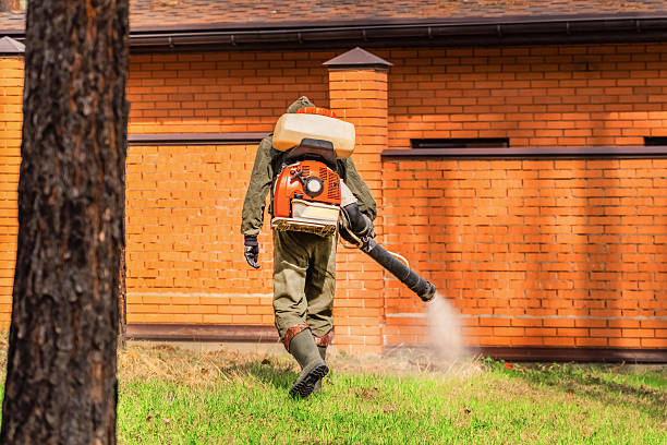 Top rated local Mosquito Control specialists in McCaysville, GA
